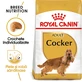 ROYAL CANIN Cocker Adult, hrană uscată câini, 3kg