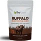 Biolog | Buffalo Whey Protein Choco – Proteine din zer de lapte de bivol cu cacao | 500 g 