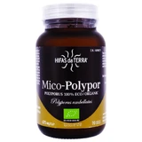 HIFAS DA TERRA MICO-POLYPOR 70 CAPSULES