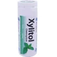 XYLITOL 30 KAUWGOM - SPEARMUNT