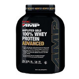 Gnc Pro Performance Amp Amplified Gold Advanced Whey Protein mit Schokoladengeschmack, 2325 G