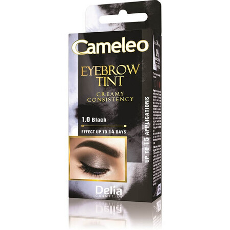 Crème à sourcils Cameleo, noir 1.0, 15 ml, Delia Cosmetics