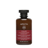 Shampoo für coloriertes Haar, 250 ml, Apivita