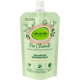 Alverde Naturkosmetik Pro Climate shampooing concentré, 100 ml