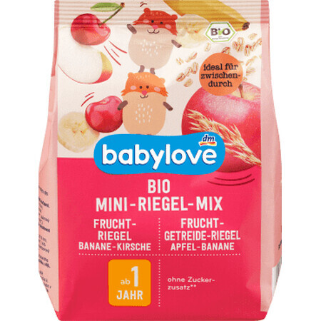 Babylove Organic Fruit Stick mix mini 1 an, 100 g
