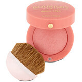 Buorjois Paris Blush 54 Rose Frisson, 2.5 g