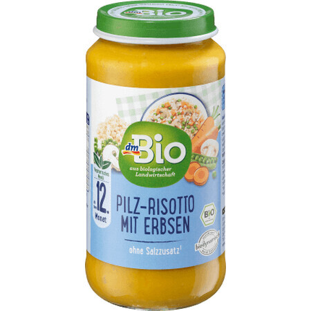 DmBio Menu végétarien risotto aux champignons et aux petits pois ECO 12+, 250 g