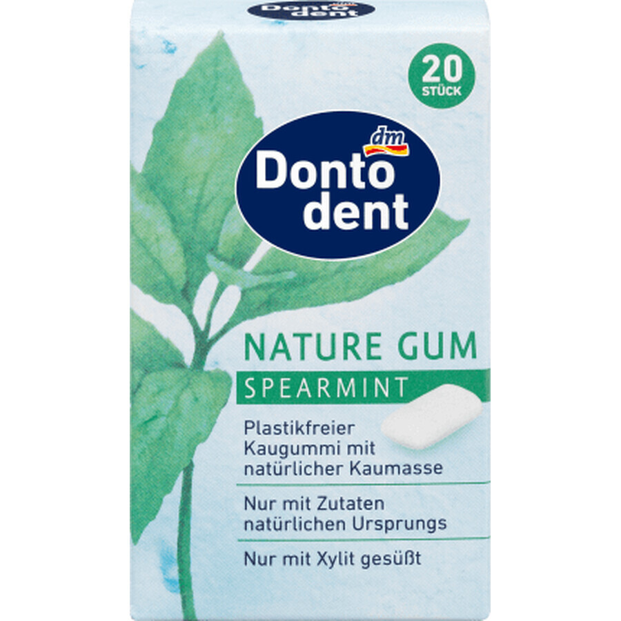 Chewing-gum Dontodent Mint, 28 g