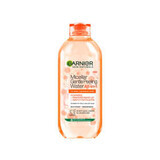 Garnier Skin Naturals Acqua micellare con delicato effetto esfoliante, 400 ml, 400 ml