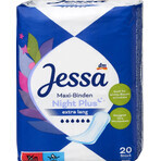 Jessa Absorbent maxi night plus, 20 pcs