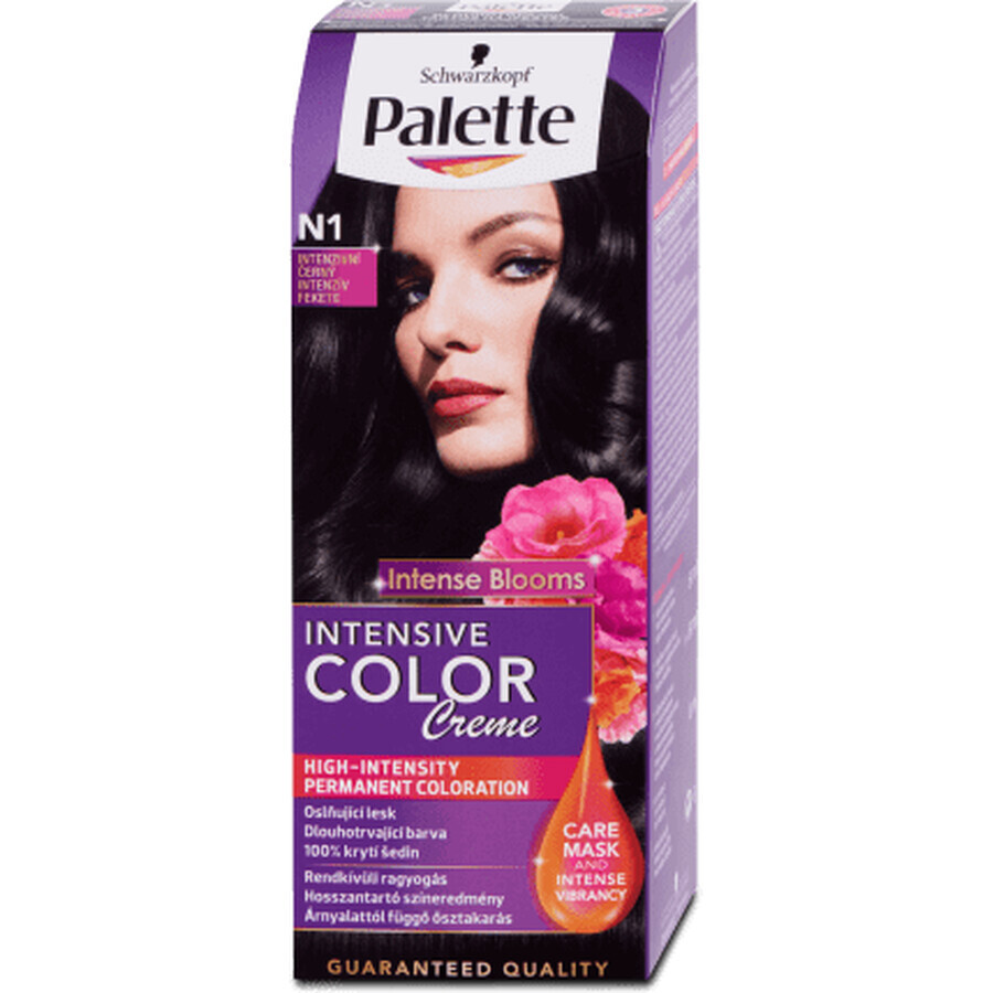 Palette Intensive Color Creme Permanent Paint N1 (1-0) Black, 1 pc