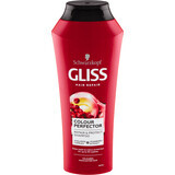 Schwarzkopf GLISS Repair & Protect Shampoo per capelli Color Perfector, 250 ml