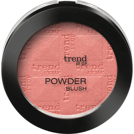 Trend !t up Powder Blush Rouge - No. 040, 5g