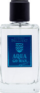 Victorio Bellucci Parfum pour homme Aqua Go, 100 ml